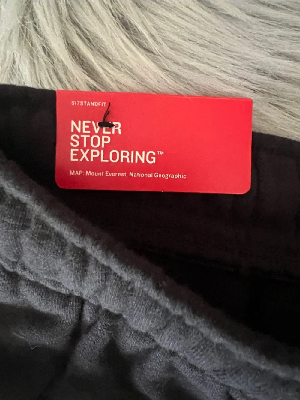 The North Face Never Stop Shorts Size M